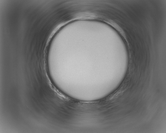 X0000060261488200511241414