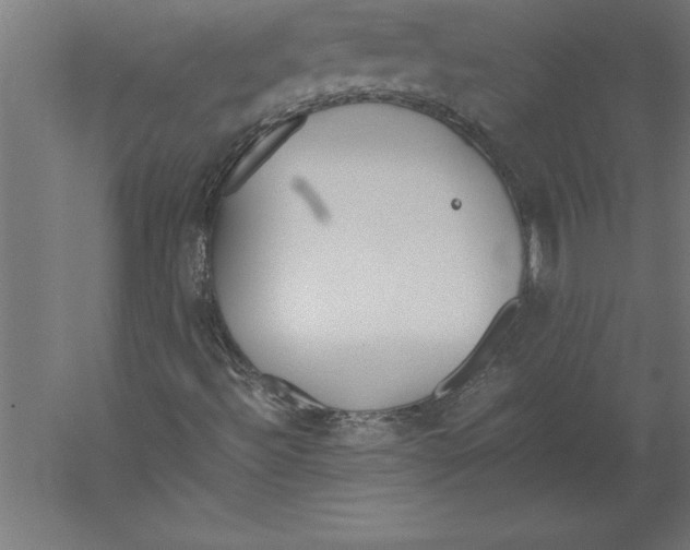 X0000060261492200511241413