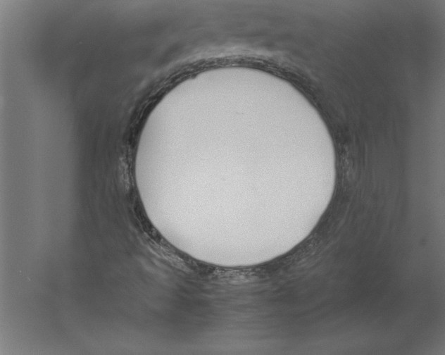 X0000060261493200511241413