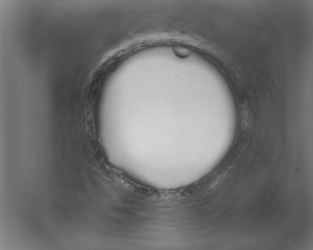 X0000060261494200511241413