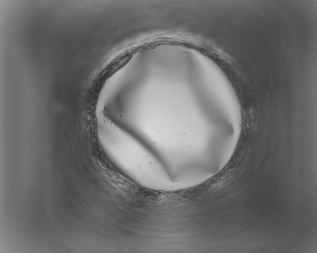 X0000060261496200511241413