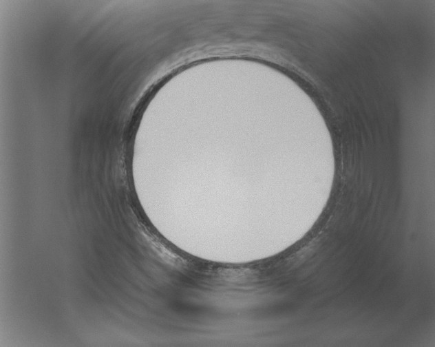 X0000060261498200511241413