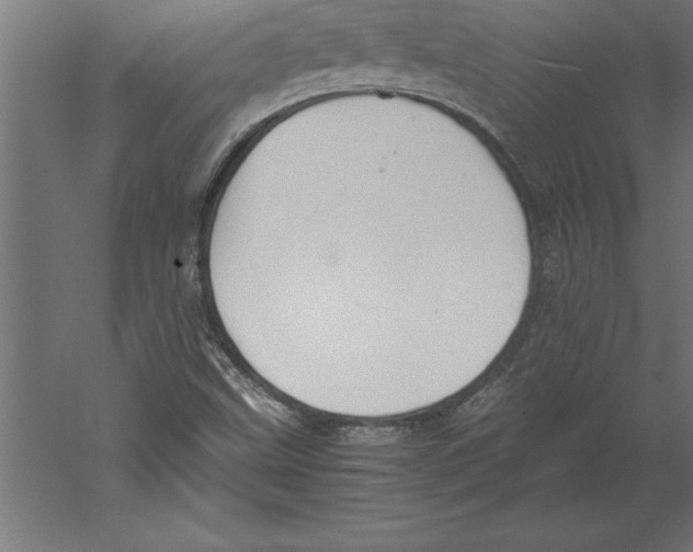 X0000060261499200511241413