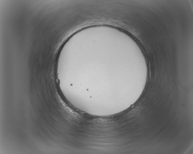 X0000060261500200511241413