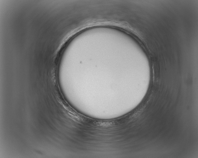 X0000060261501200511241413