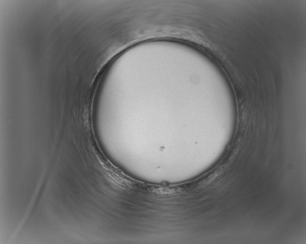 X0000060261505200511241413