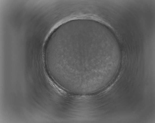 X0000060261506200511241413