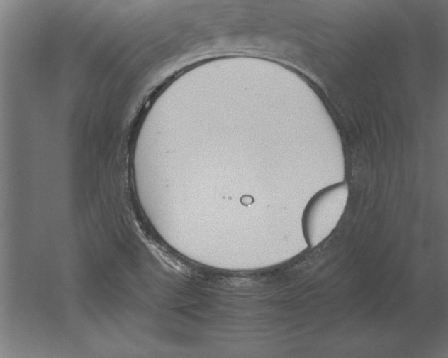 X0000060261507200511241413