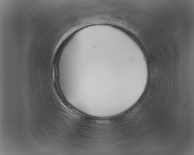 X0000060261509200511241413