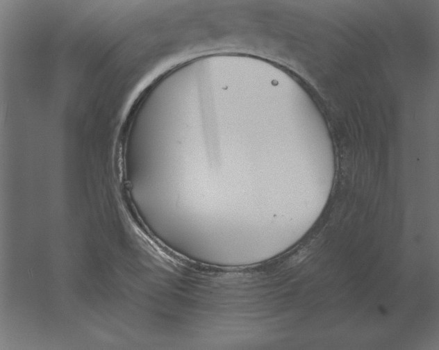 X0000060261510200511241413