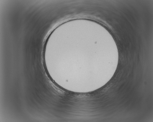 X0000060261512200511241413