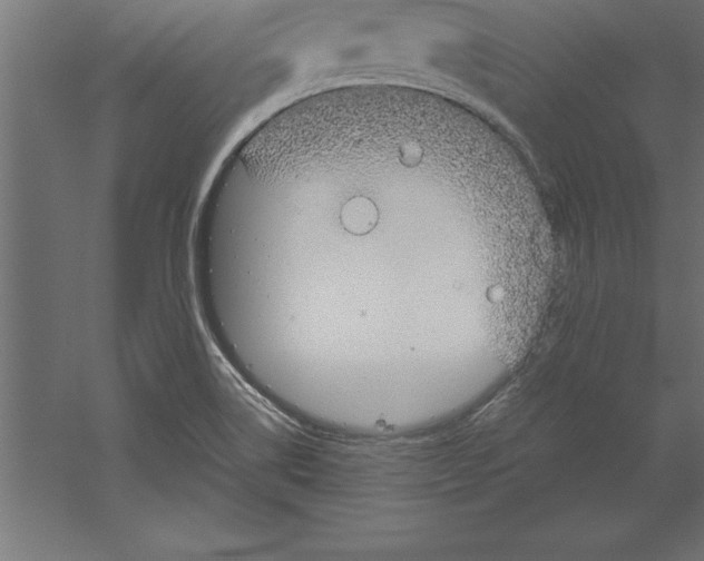 X0000060261514200511241413