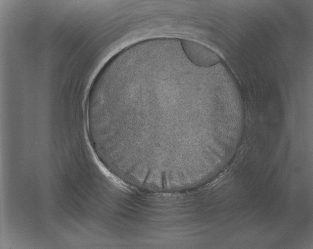 X0000060261515200511241413