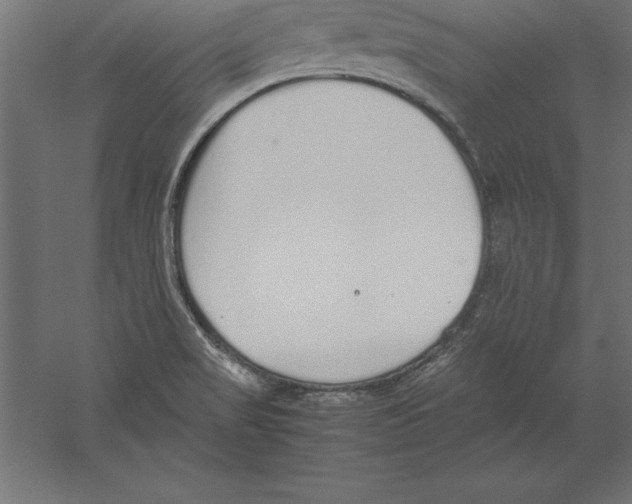 X0000060261517200511241413