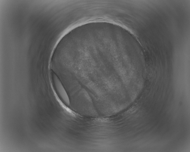 X0000060261519200511241413