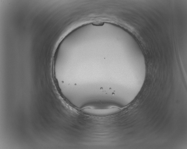 X0000060261520200511241414