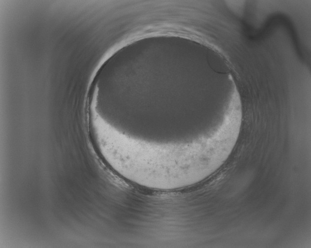 X0000060261522200511241414