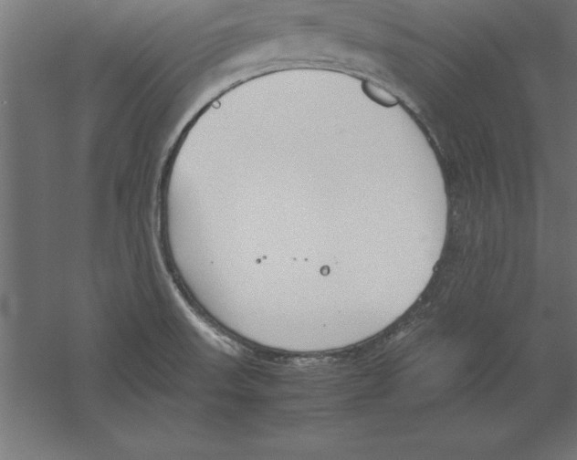 X0000060261523200511241414