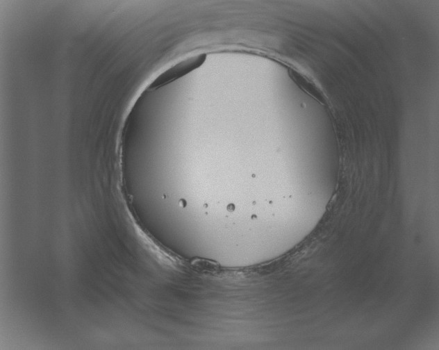 X0000060261524200511241414