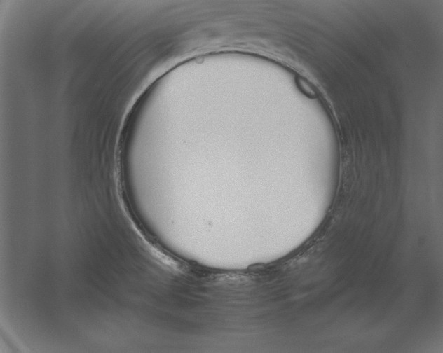 X0000060261525200511241414