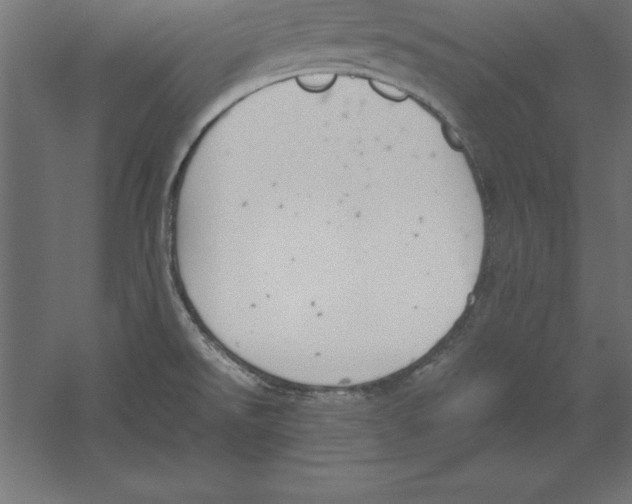 X0000060261526200511241414