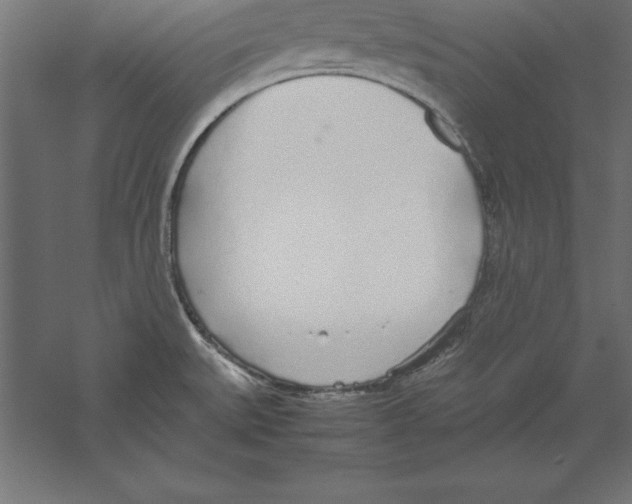 X0000060261527200511241414