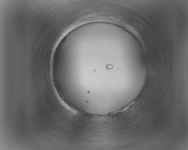 X0000060261528200511241414