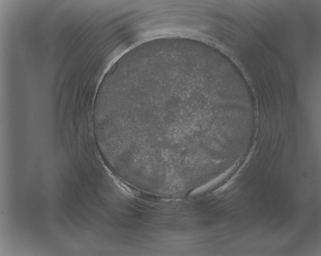 X0000060261529200511241414