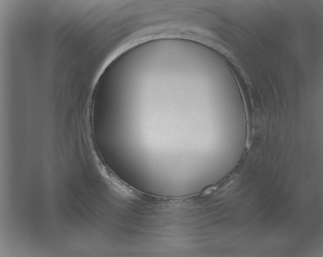 X0000060261530200511241414