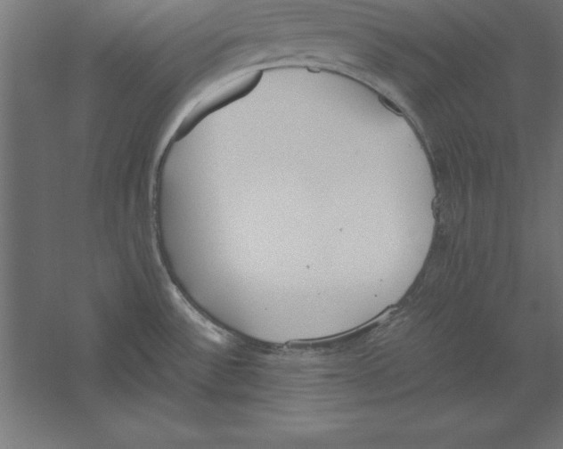 X0000060261532200511241414