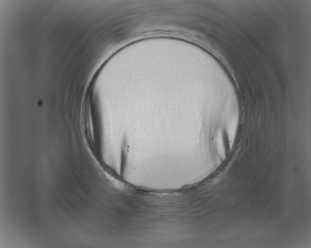 X0000060261533200511241414