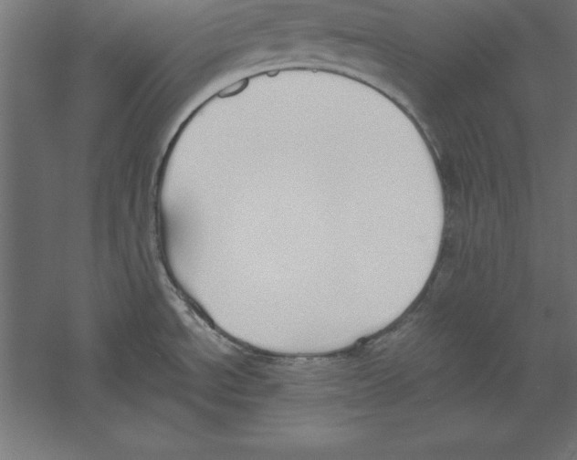 X0000060261534200511241414