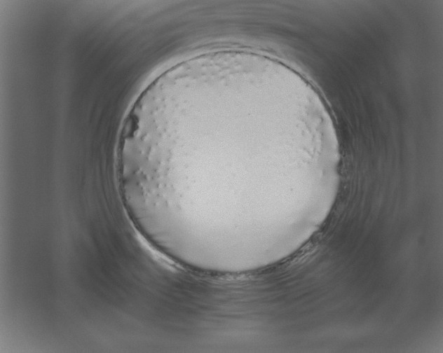 X0000060261535200511241414