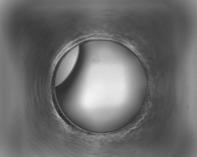 X0000060270007200510281047