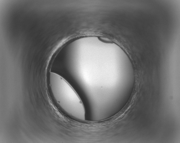 X0000060270008200510281047