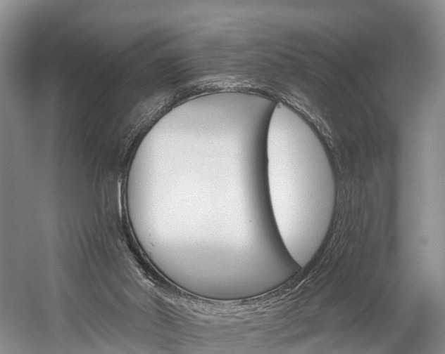X0000060270014200510281047