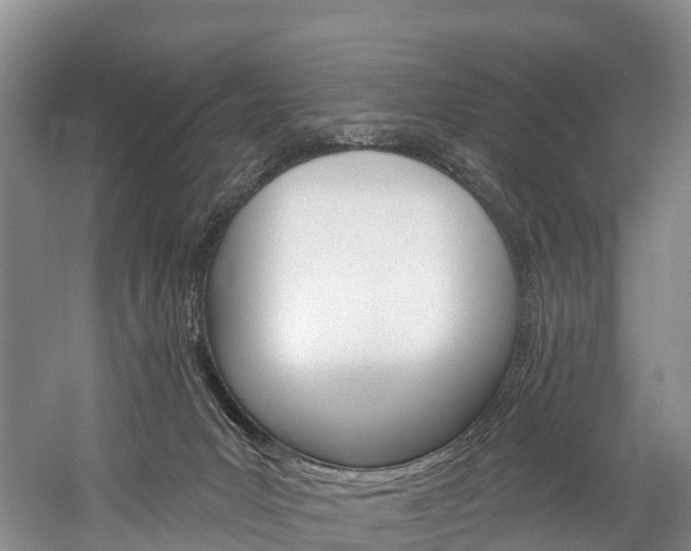 X0000060270031200510281046