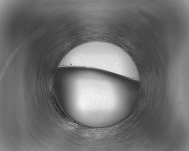 X0000060270033200510281046