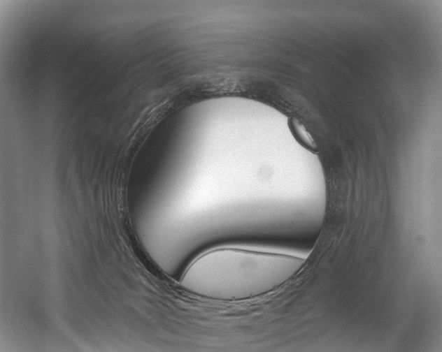 X0000060270035200510281046