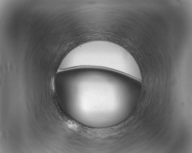 X0000060270041200510281046