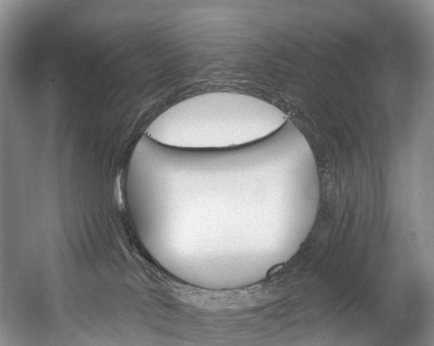 X0000060270042200510281046