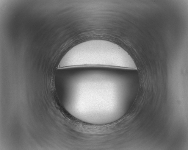 X0000060270044200510281046