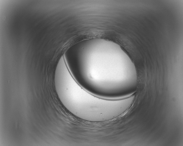 X0000060270045200510281046