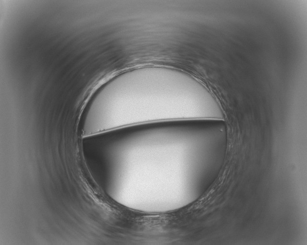 X0000060270050200510281045