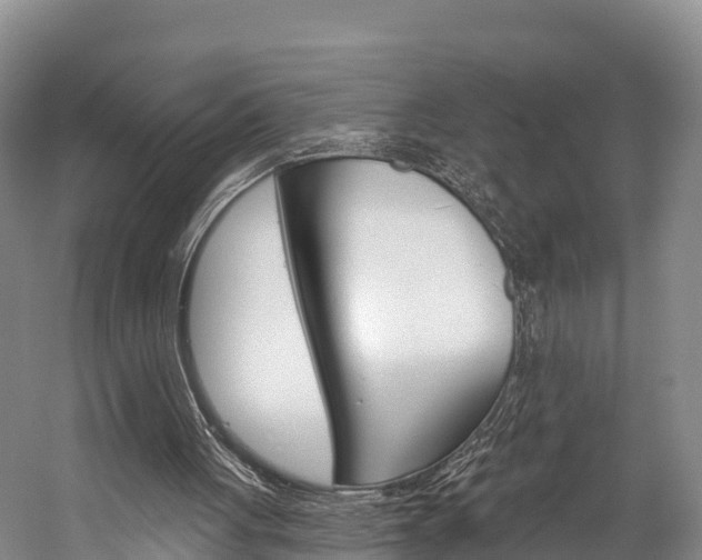 X0000060270051200510281045