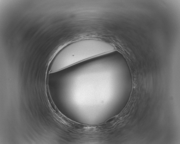 X0000060270052200510281045