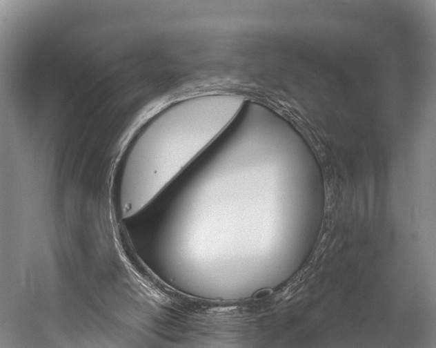 X0000060270054200510281045