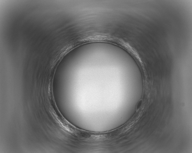X0000060270057200510281046