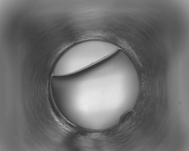 X0000060270058200510281046
