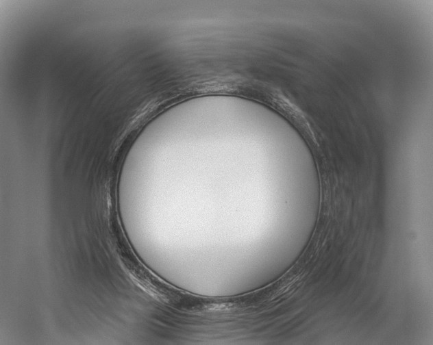 X0000060270059200510281046
